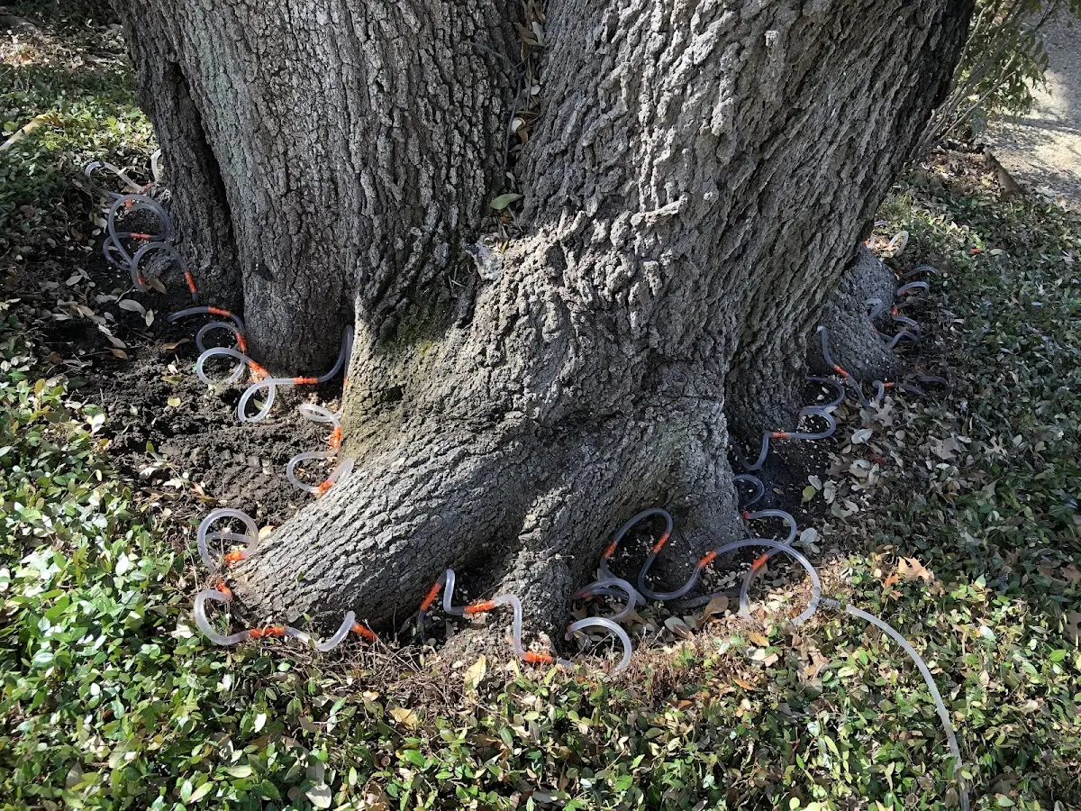 Detailed Shrub and Hedge Trimming job site in Exchange